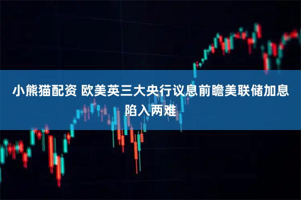 小熊猫配资 欧美英三大央行议息前瞻美联储加息陷入两难