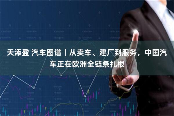 天添盈 汽车图谱｜从卖车、建厂到服务，中国汽车正在欧洲全链条扎根