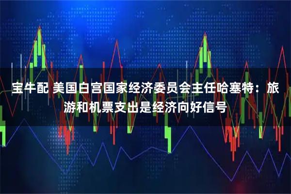 宝牛配 美国白宫国家经济委员会主任哈塞特：旅游和机票支出是经济向好信号