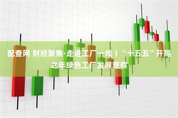 配查网 财经聚焦·走进工厂一线丨“十五五”开局之年绿色工厂发展观察